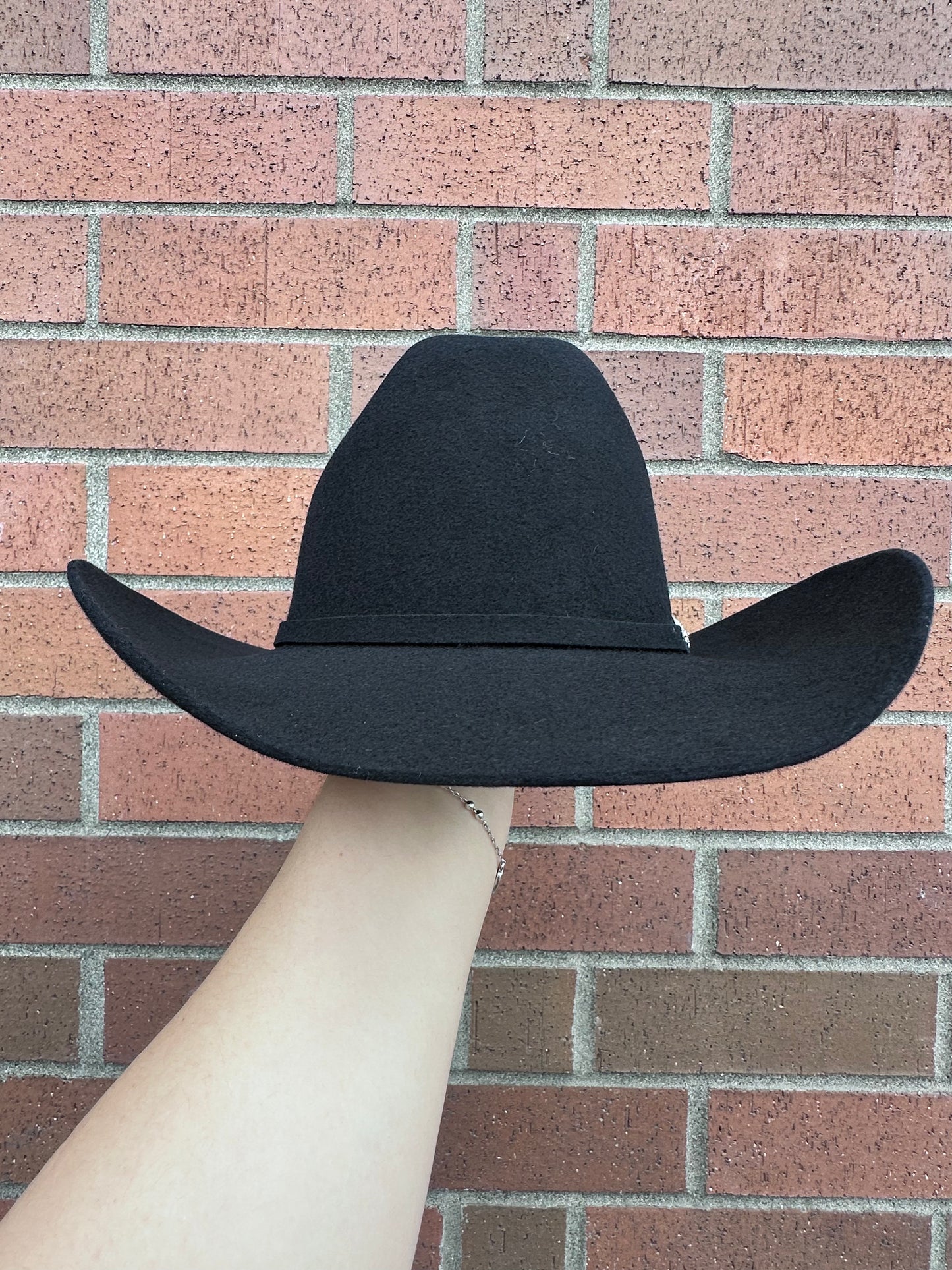 Tejanas