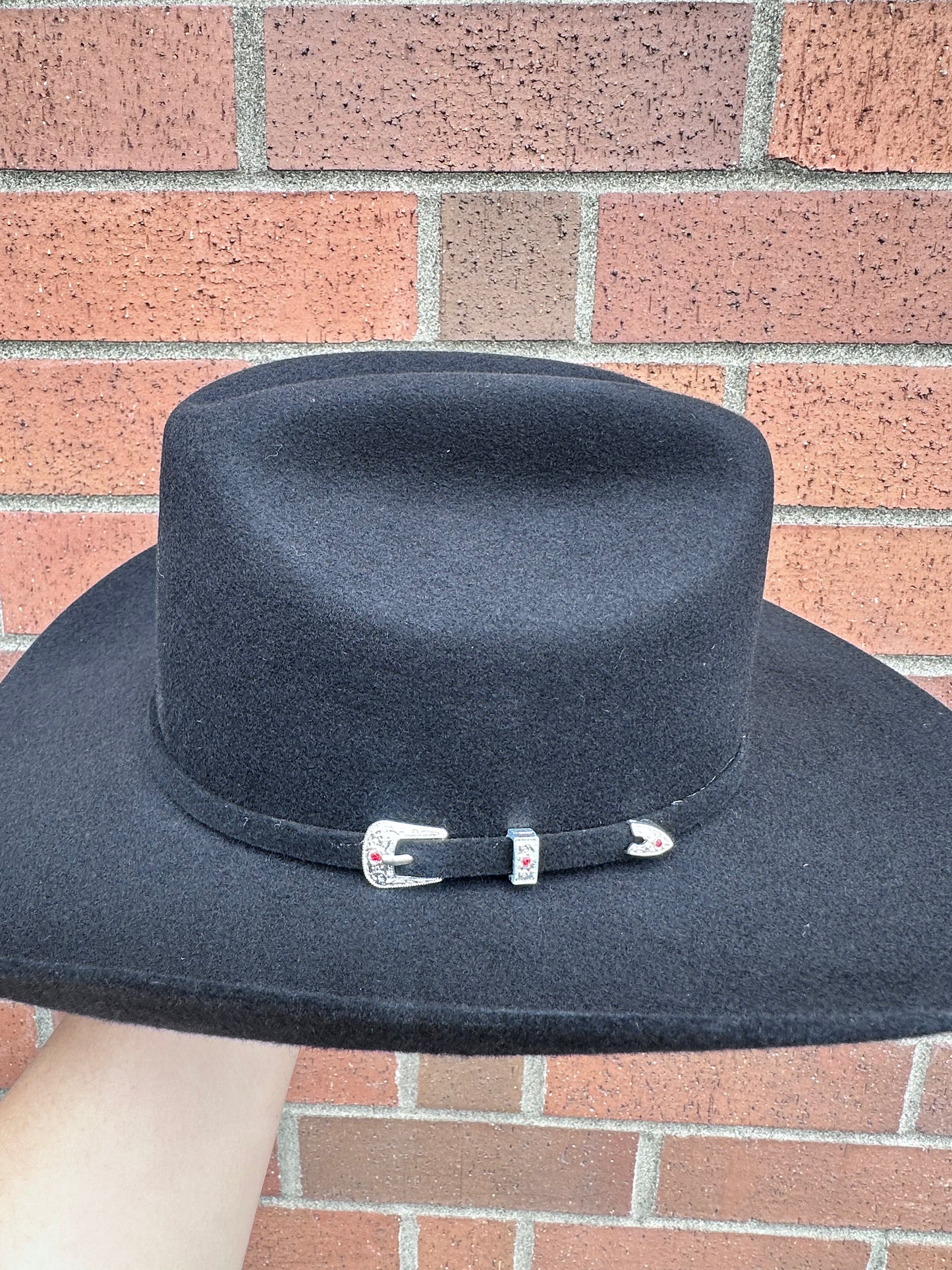 Tejanas